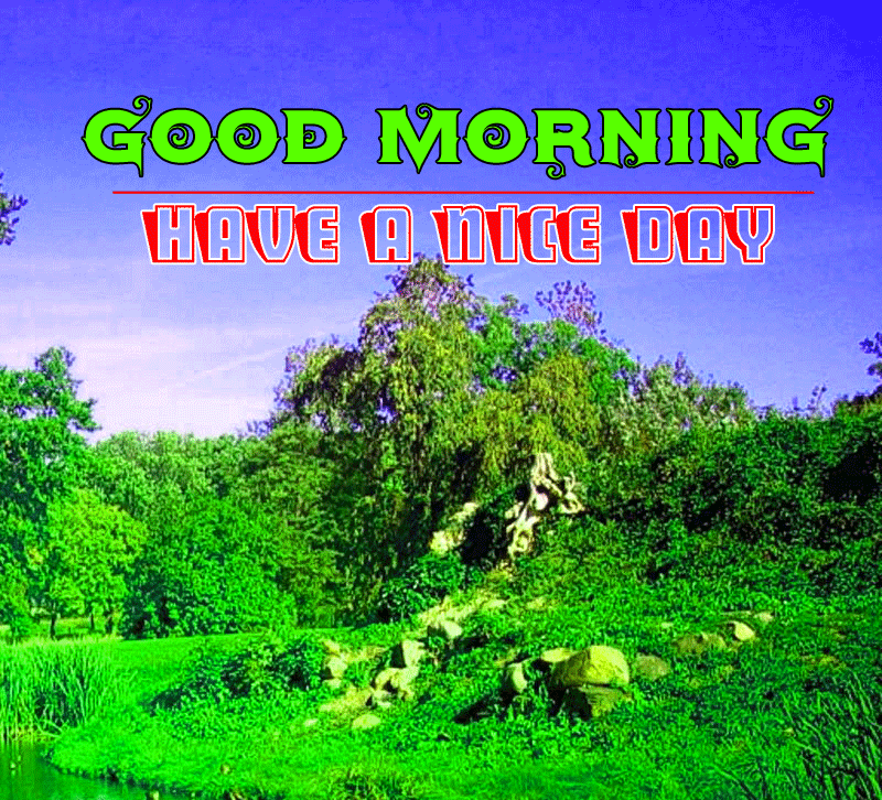 New Nature HD Good Morning Pictures for Her Download