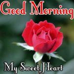 Best Free New Morning Wishes Images With Red Rose Pics Download