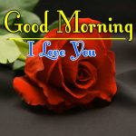 Morning Wishes Images With Red Rose Wallpaper Free
