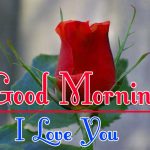 Morning Wishes Images With Red Rose Wallpaper HD Download