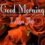 Morning Wishes Images With Red Rose Wallpaper Download