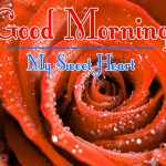 Free BestMorning Wishes Images With Red Rose Wallpaper Download