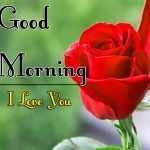 Morning Wishes Images With Red Rose Wallpaper for Facebook