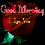 Morning Wishes Images With Red Rose Pics for Facebook