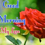 Best Free Morning Wishes Images With Red Rose Pics Download