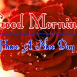 Morning Wishes Images With Red Rose Photo Free