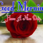 Best Morning Wishes Images With Red Rose Pics Images Download