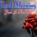 Morning Wishes Images With Red Rose Pics Free Download