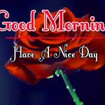 Morning Wishes Images With Red Rose photo Download