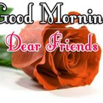 Morning Wishes Images With Red Rose Images gf
