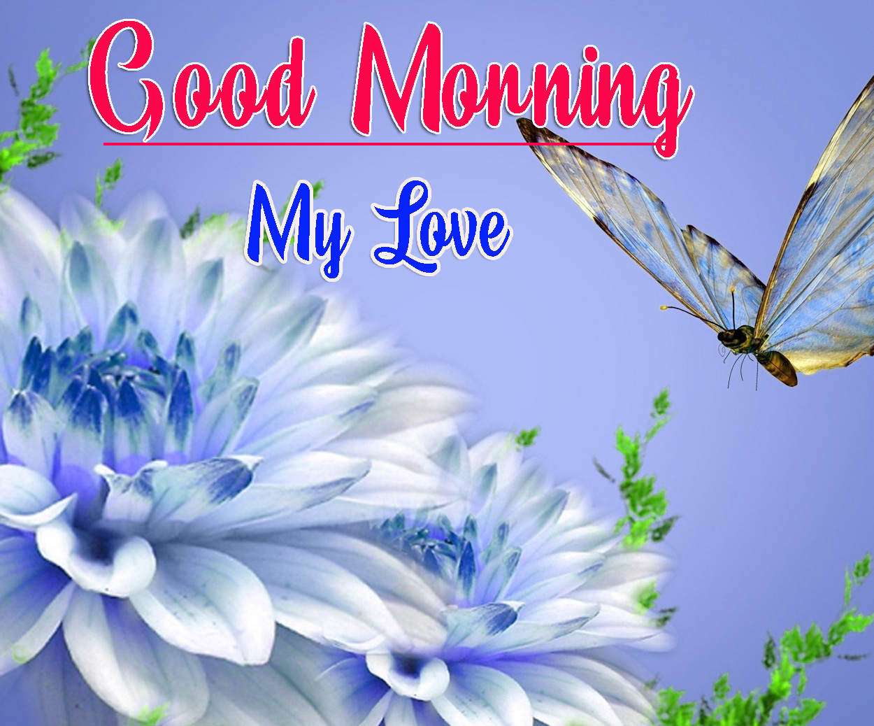 Romantic Good Morning Wallpaper Free Download 