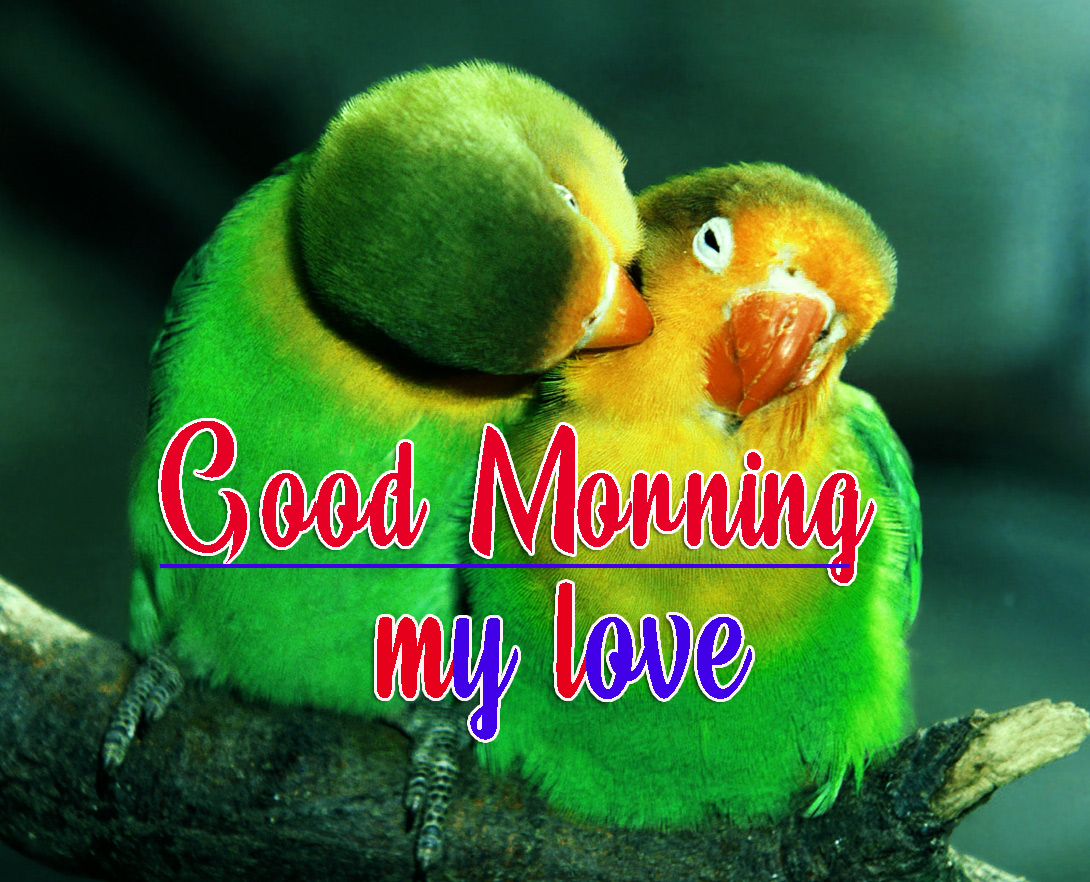 Romantic Good Morning Pics Download 