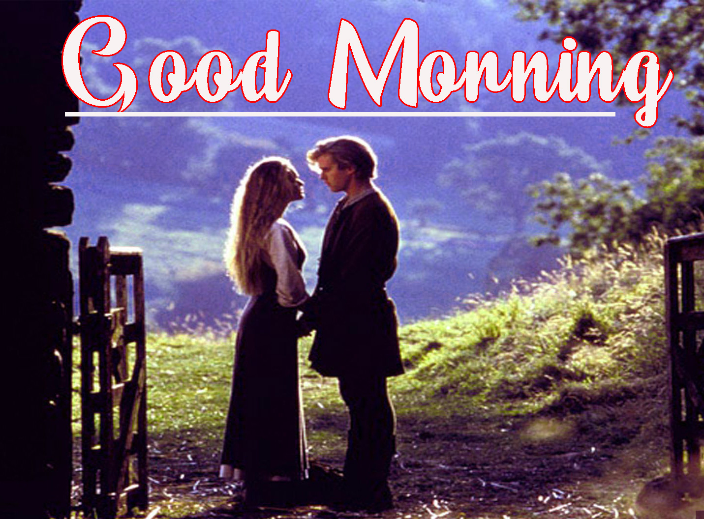 Free Romantic Good Morning Pics Download 