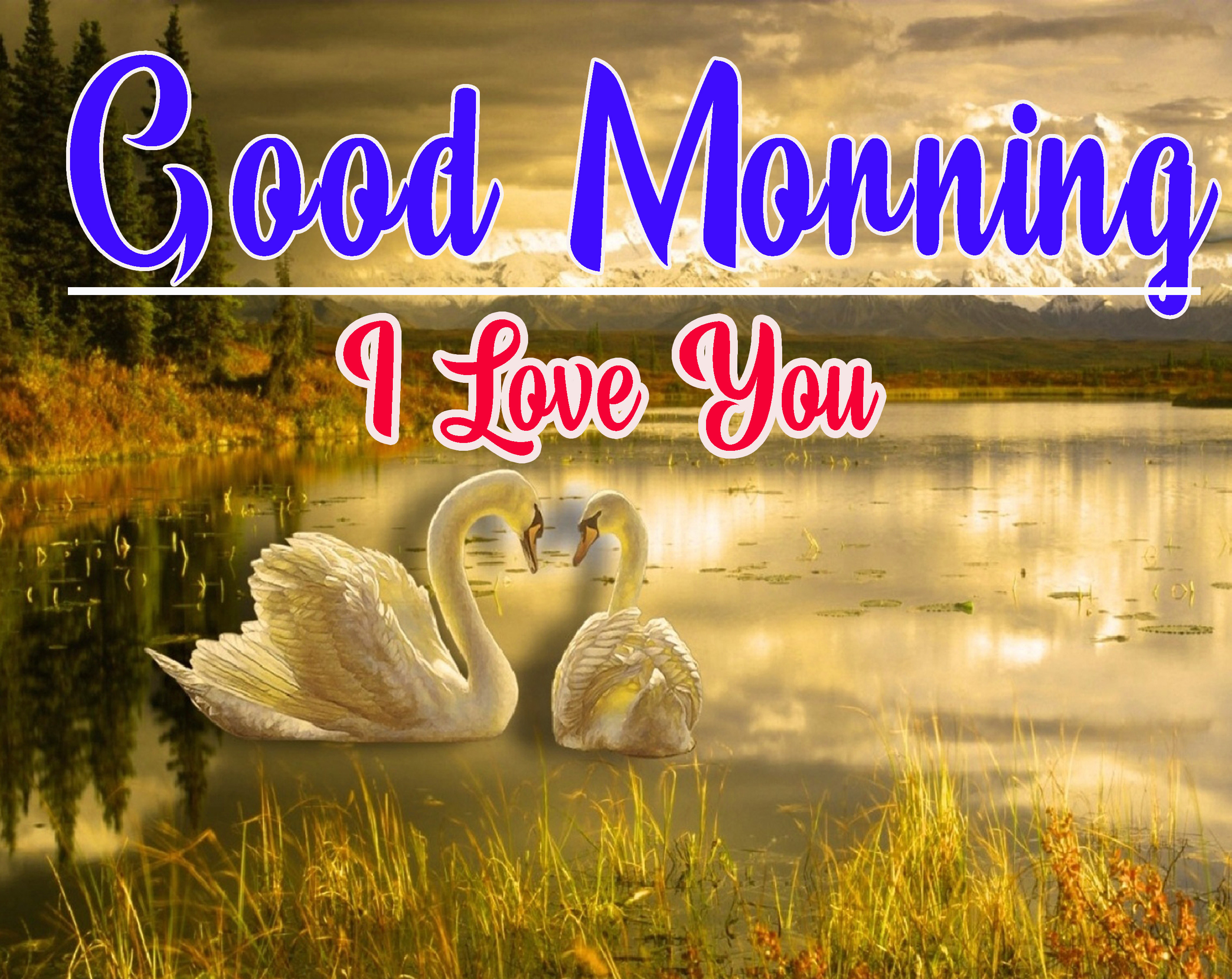 Romantic Good Morning Pics Download Free 