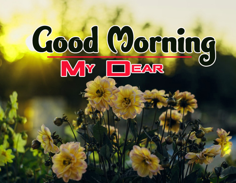 Special Good Morning Wishes Images Wallpaper Free 