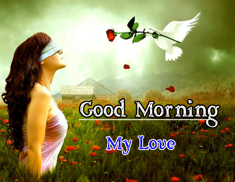 Very Good Morning Images Wallpaper Free Download 
