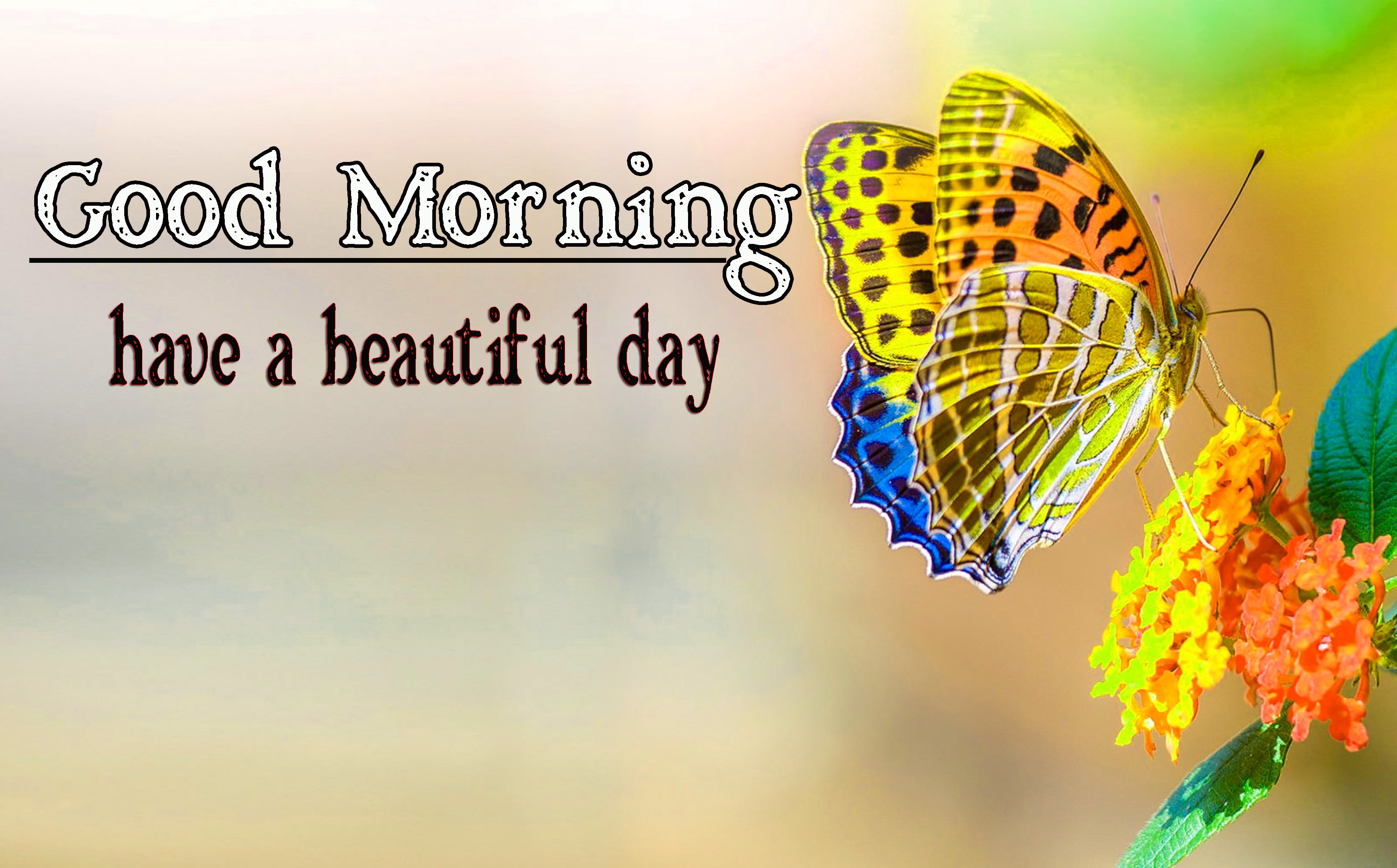 Free Very Good Morning Images Wallpaper Download 