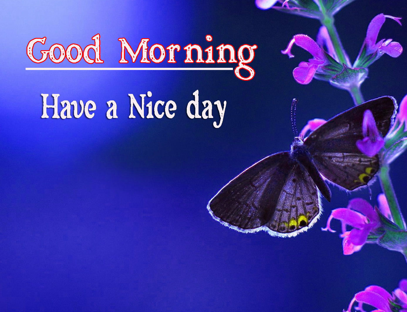 Very Good Morning Images Wallpaper for Facebook/Whatsapp
