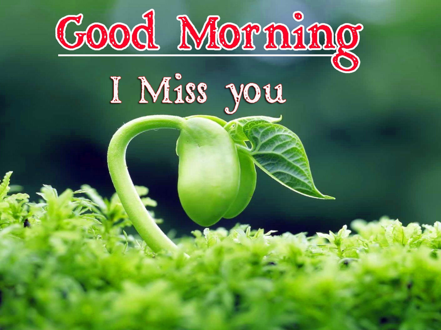 Very Good Morning Images Pics Download Free 