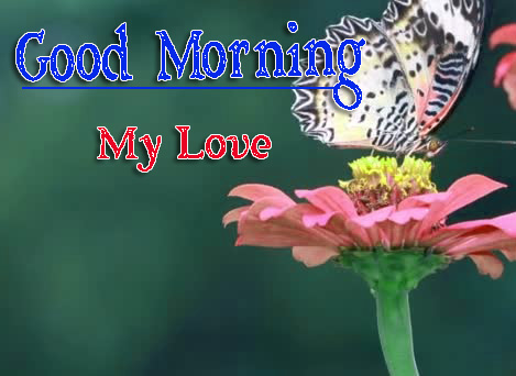 Very Good Morning Images Photo Download 