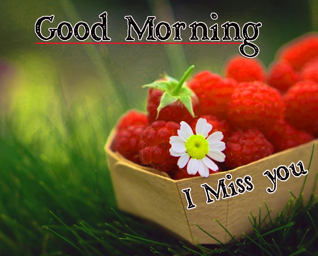 Free Very Good Morning Images Wallpaper Download 