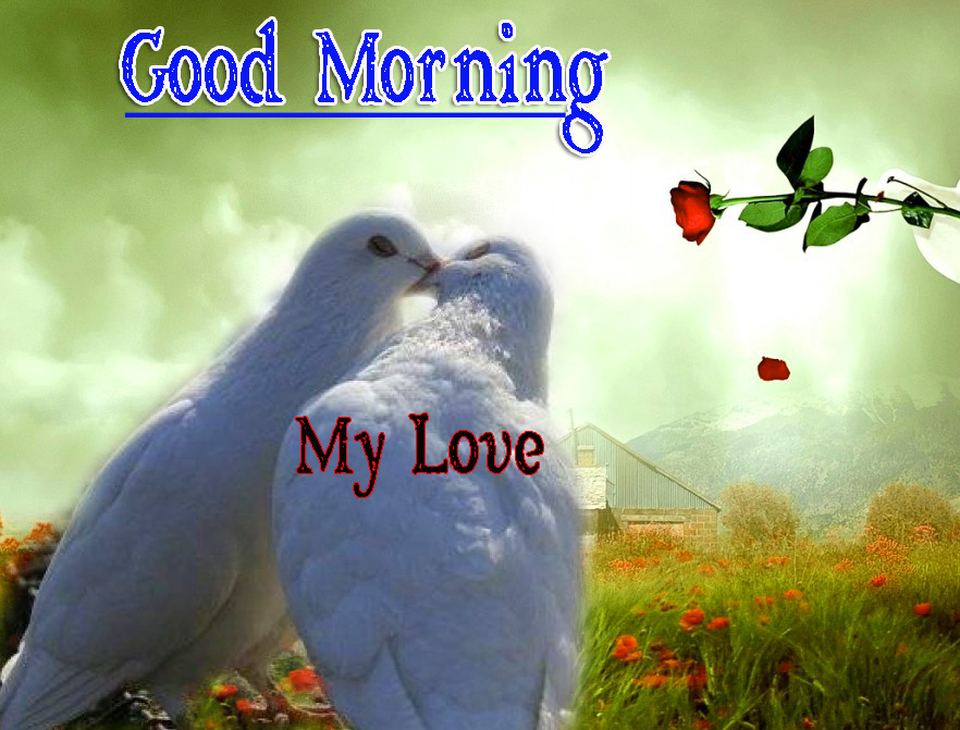 Latest Free Very Good Morning Images Pics Download 