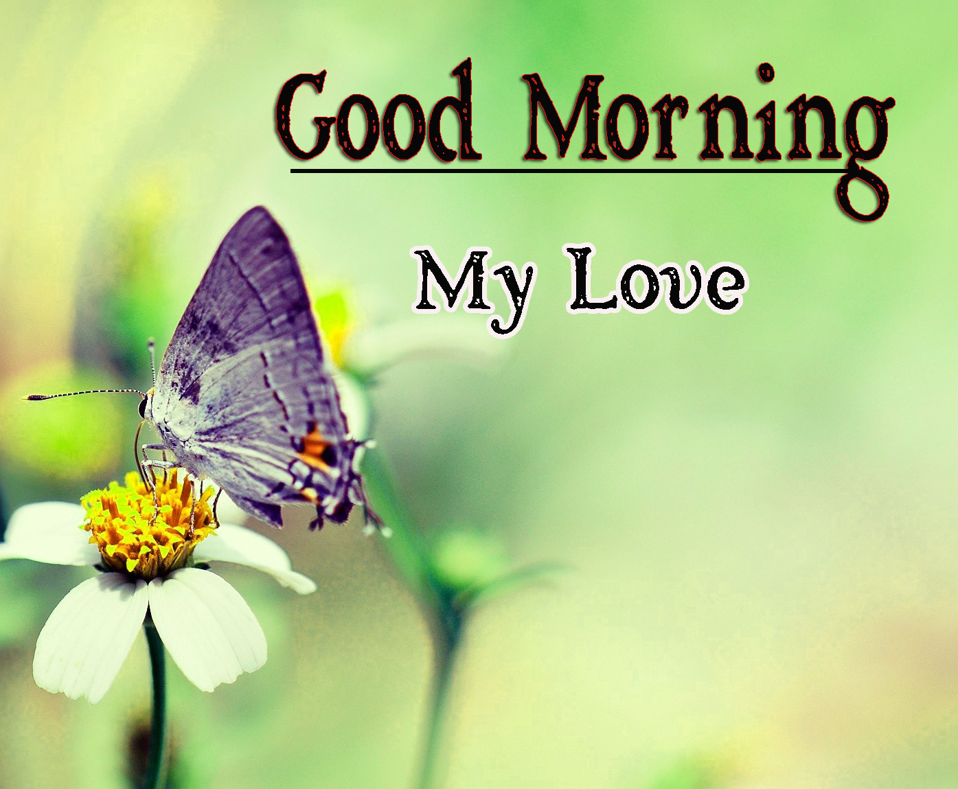Free Best Very Good Morning Images Pics Download 