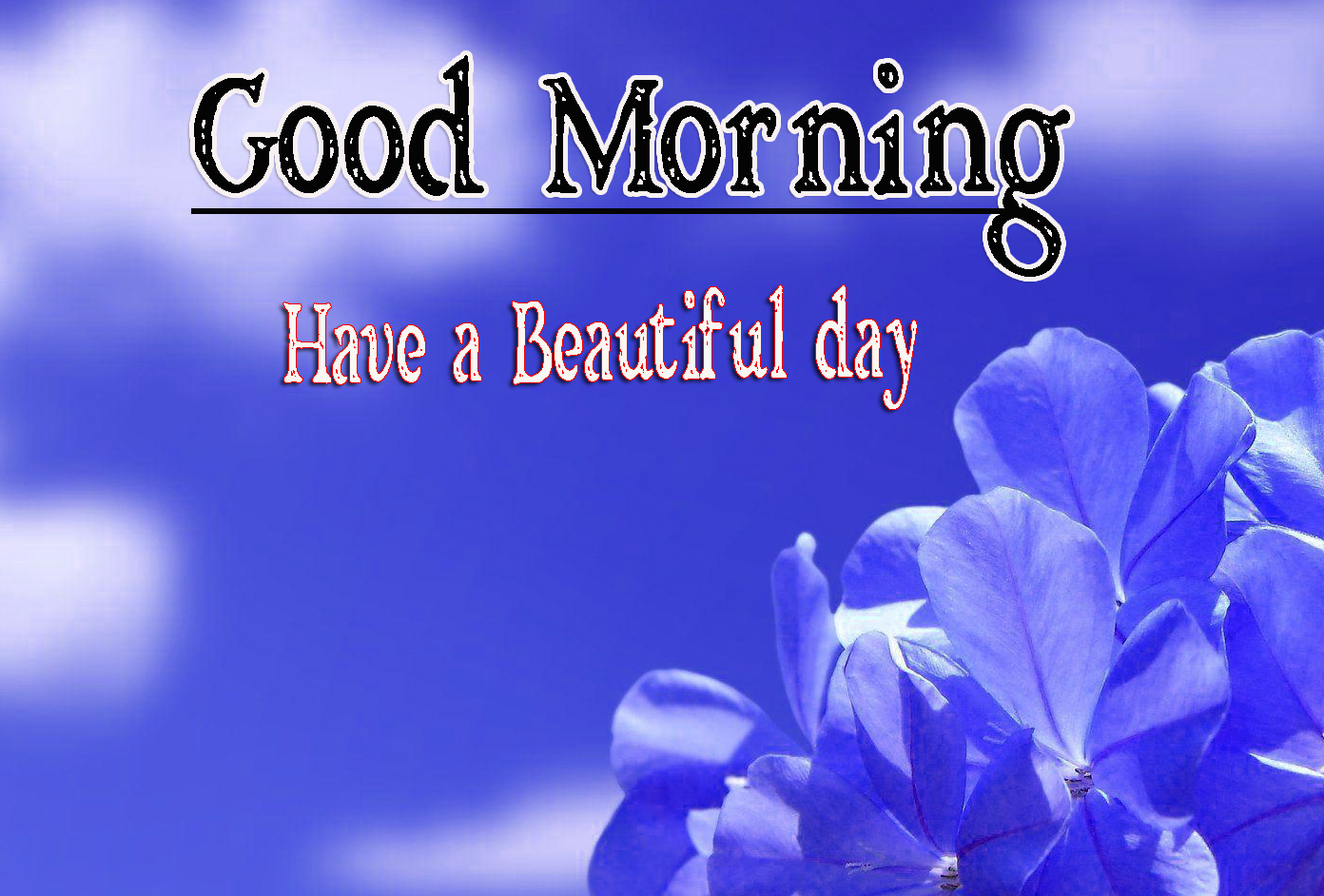 Free Very Good Morning Images Photo Download 