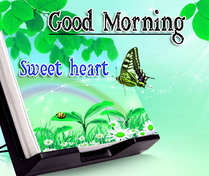 Free 1080p Very Good Morning Images Wallpaper Download 
