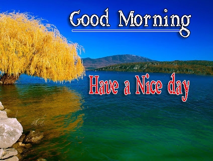 Free 1080p Very Good Morning Images Pics With Have a Nice Day