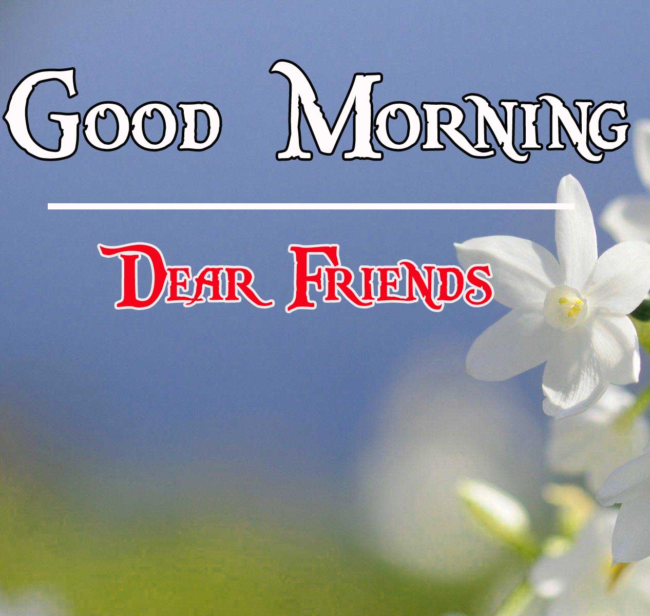 524+ Beautiful Flowers Good Morning Images Pics Download HD