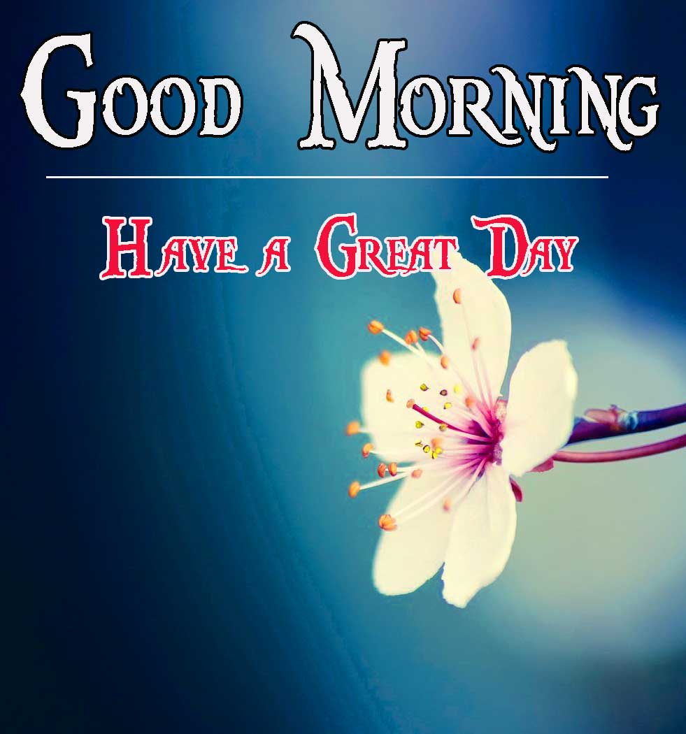 Beautiful Flowers Good Morning Images Pics Wallpaper Download 