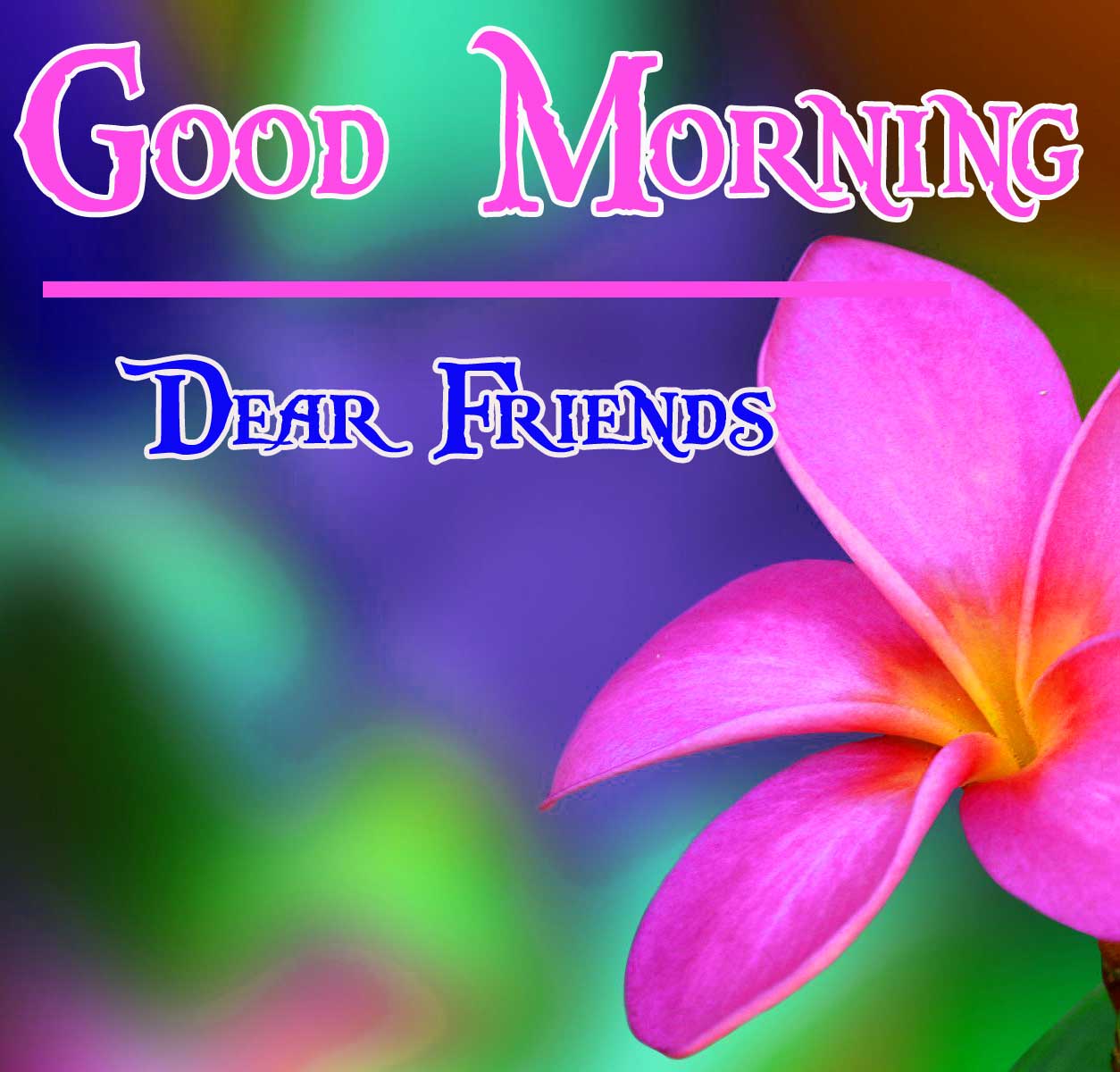 Beautiful Flowers Good Morning pics Download 
