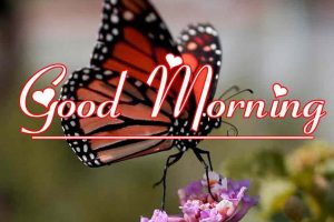 Best Good Morning Images Pics HD Download