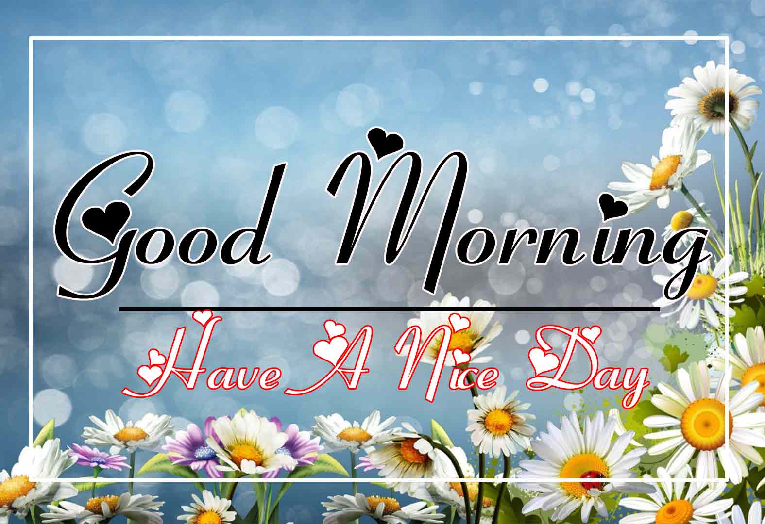 Free New morning Images HD 7
