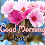 Flower Good Morning Images Pics Download