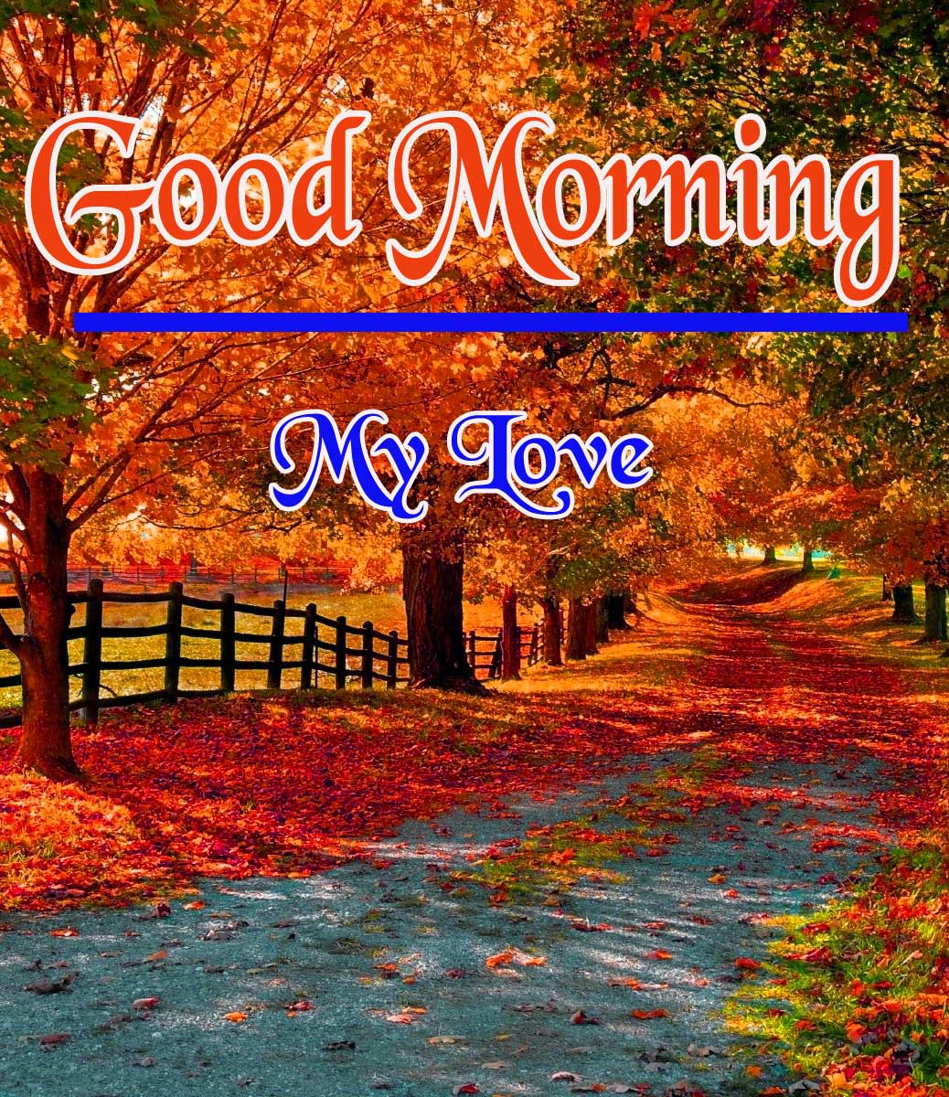 Good Morning Pictures photo Download 