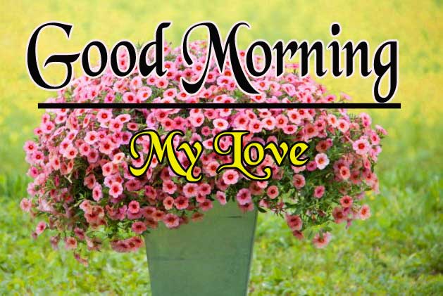 Free New Good Morning Pictures Images Download 