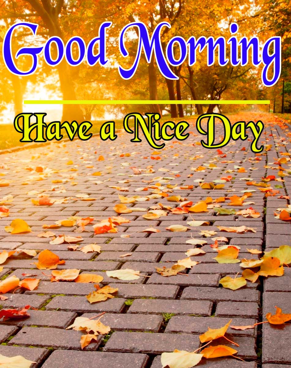 Good Morning Pictures Wallpaper Free Download 