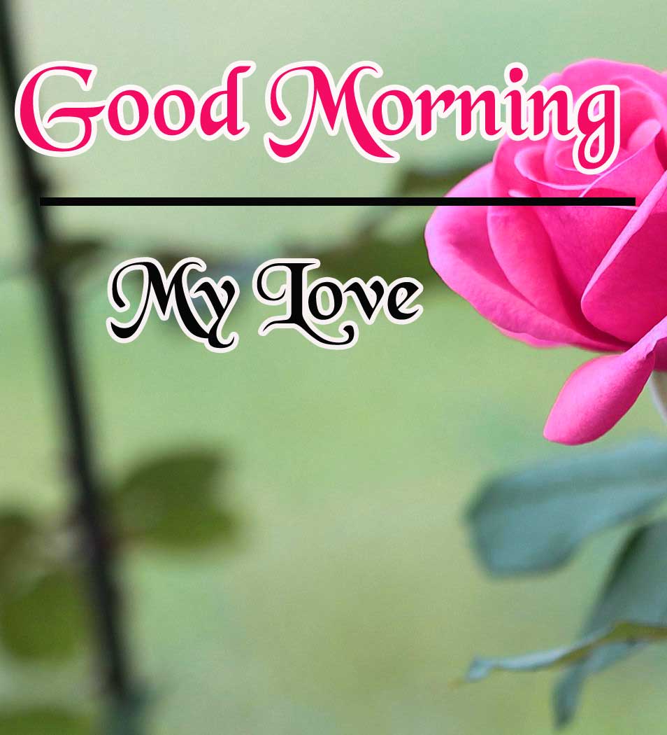 Good Morning Pictures Photo Download 
