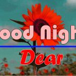 Good Night Wishes Images 2