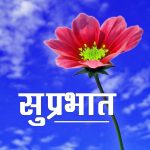 Beautiful Hindi Quotes Suprabhat Images Pics With Flower