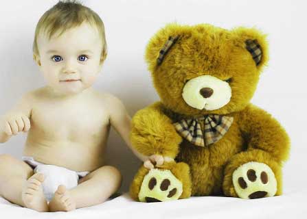 Teddy Bear Photo Wallpaper Free Download 