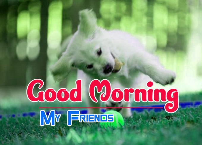 Cute Dog Puppy Good Morning Images 1