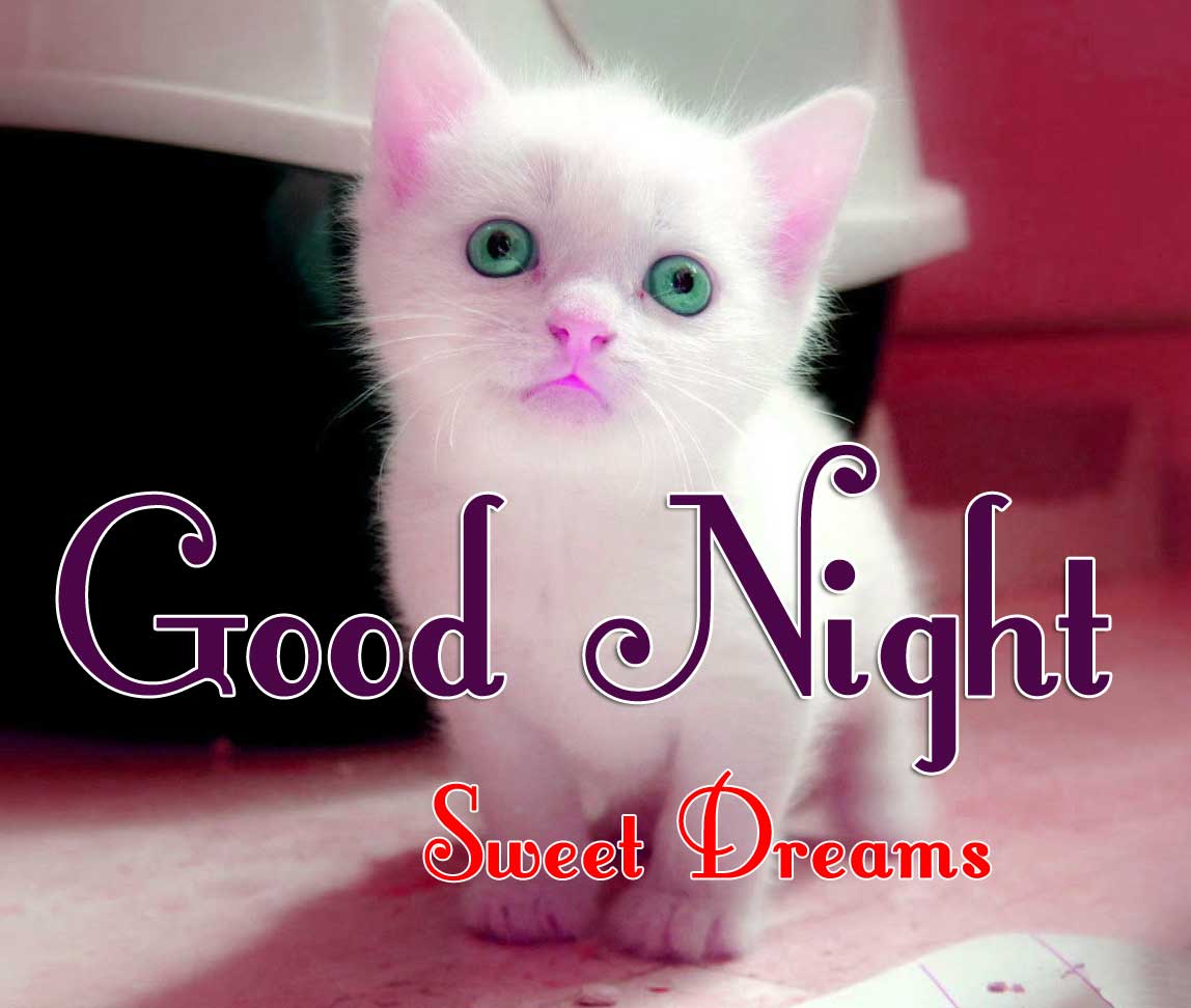 319+ Cute Good Night Images Pics Pictures Download