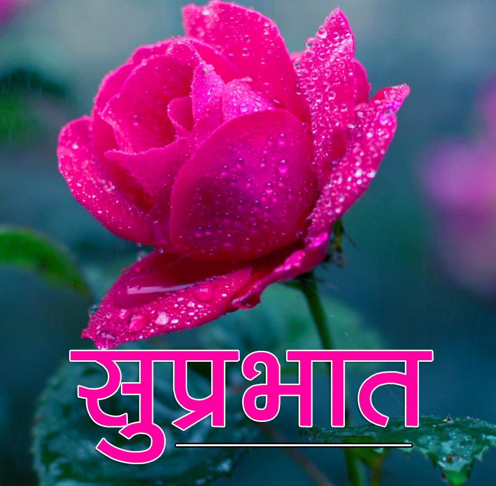 Flower Suprabhat Images 24