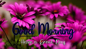 Free Flower Good Morning and Good Luck Wishes Images Pics Download