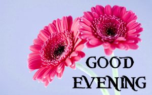 Good Evening Images Photo Download