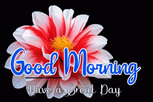 Good Morning and Good Luck Wishes Images Pics With Flower