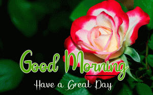 Good Morning and Good Luck Wishes Wallpaper Free